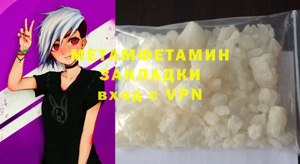 шишки Мегион