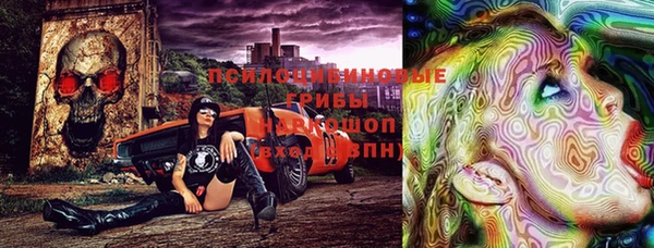 шишки Мегион