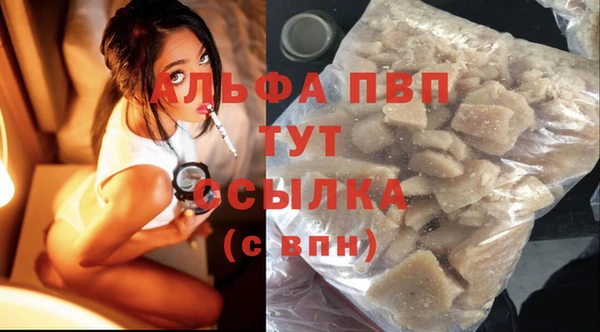 прущие крисы Билибино