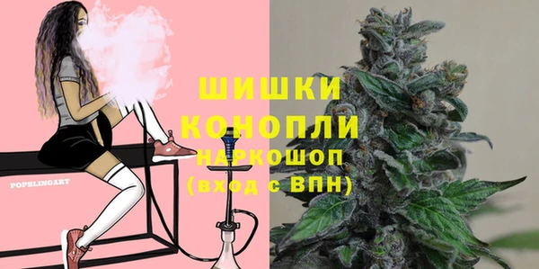 шишки Мегион