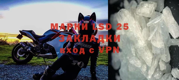 шишки Мегион